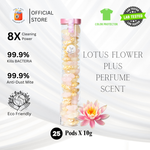 Dash 3-in-1 laundry pods - Lotus and lily - Good for 29 washes (29 laundry  pods)